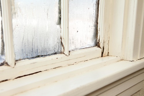 Jeśli chcemy poprawić komfort cieplny domu - zacznijmy od okien